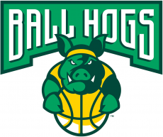 Ball Hogs 2017-Pres Primary Logo custom vinyl decal