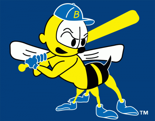 Burlington Bees 2007-Pres Cap Logo 2 heat sticker