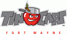 Fort Wayne Tincaps 2008-Pres Primary Logo heat sticker
