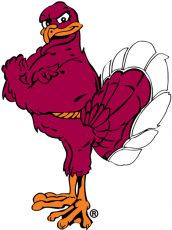Virginia Tech Hokies 2000-Pres Mascot Logo 01 heat sticker