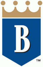 Burlington Royals 2007-Pres Primary Logo heat sticker