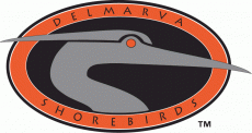 Delmarva Shorebirds 1996-2009 Primary Logo heat sticker