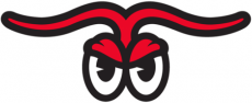 Hickory Crawdads 2016-Pres Alternate Logo 6 heat sticker
