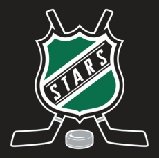 Hockey Dallas Stars Logo heat sticker