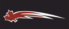 Vancouver Giants 2001 02-Pres Alternate Logo 2 heat sticker