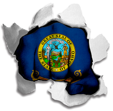 Fist Idaho State Flag Logo heat sticker