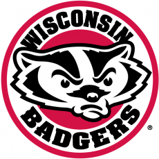 Wisconsin Badgers 2002-Pres Alternate Logo heat sticker