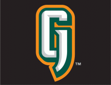 Augusta Greenjackets 2006-2017 Cap Logo 3 heat sticker