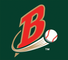 Buffalo Bisons 2004-2008 Cap Logo heat sticker