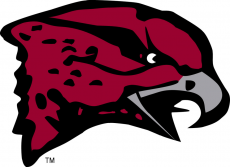 Maryland-Eastern Shore Hawks 2007-Pres Primary Logo heat sticker