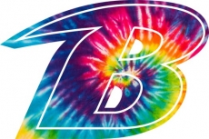 Baltimore Ravens rainbow spiral tie-dye logo heat sticker