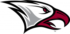 NCCU Eagles 2006-Pres Partial Logo 02 heat sticker