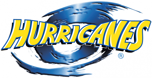 Hurricanes 1996-Pres Primary Logo heat sticker