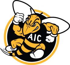 AIC Yellow Jackets 2009-Pres Alternate Logo 02 custom vinyl decal