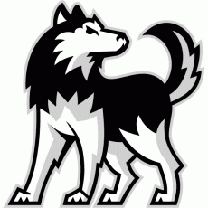 Northern Illinois Huskies 2001-Pres Alternate Logo 01 heat sticker