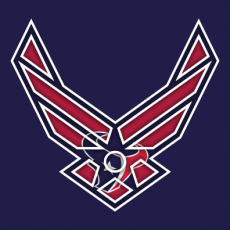 Airforce Houston Texans Logo heat sticker