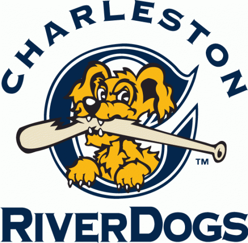 Charleston Riverdogs 2011-2015 Primary Logo heat sticker