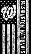 Washington Nationals Black And White American Flag logo heat sticker