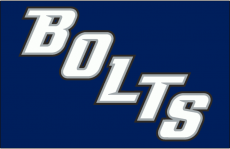 Tampa Bay Lightning 2008 09-2013 14 Jersey Logo heat sticker