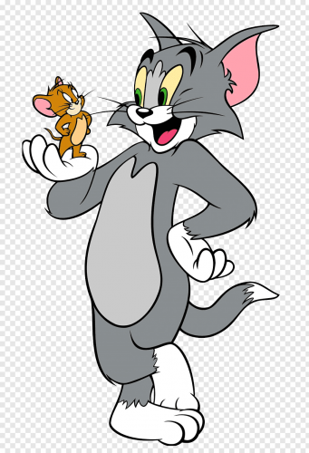 Tom and Jerry Logo 10 custom vinyl decal