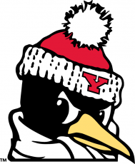 Youngstown State Penguins 1993-Pres Alternate Logo 06 heat sticker