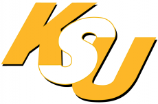 Kennesaw State Owls 2000-2011 Wordmark Logo 01 custom vinyl decal