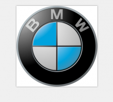 BMW Logo 05 heat sticker