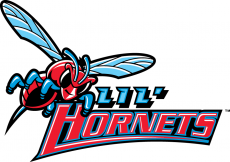Delaware State Hornets 2004-Pres Misc Logo custom vinyl decal