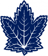 Toronto Maple Leafs 2000 01-2006 07 Alternate Logo 02 custom vinyl decal