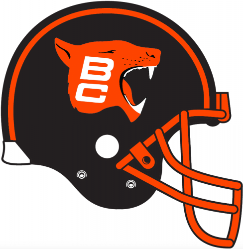 BC Lions 1976-1977 Helmet Logo custom vinyl decal