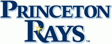 Princeton Rays 2009-Pres Primary Logo heat sticker