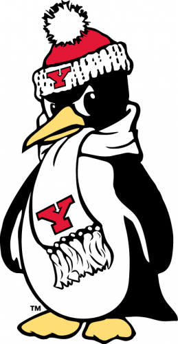 Youngstown State Penguins 1993-Pres Alternate Logo 01 heat sticker