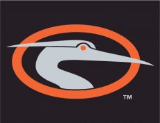 Delmarva Shorebirds 2010-Pres Cap Logo 3 heat sticker