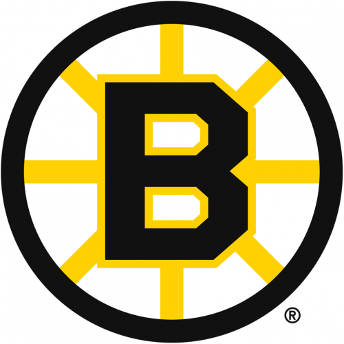 Boston Bruins 1949 50-1994 95 Primary Logo heat sticker