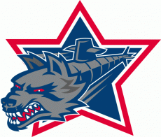 Hartford Wolf Pack 2013-Pres Secondary Logo heat sticker