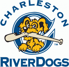 Charleston Riverdogs 1996-2010 Primary Logo heat sticker