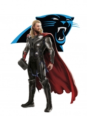 Carolina Panthers Thor Logo heat sticker