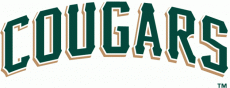Kane County Cougars 2007-2015 Wordmark Logo heat sticker