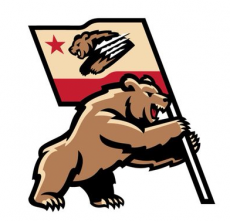 Fresno Grizzlies 2019-Pres Alternate Logo 2 heat sticker