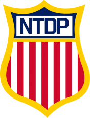 USA Hockey National Team Development ProgramNTDP 2015 16-Pres Primary Logo custom vinyl decal