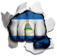 Fist Nicaragua Flag Logo heat sticker
