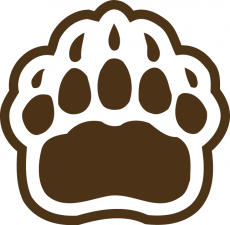 Brown Bears 1997-Pres Secondary Logo 02 heat sticker
