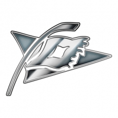 Carolina Hurricanes Silver Logo heat sticker