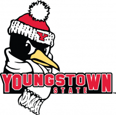Youngstown State Penguins 2006-Pres Secondary Logo custom vinyl decal