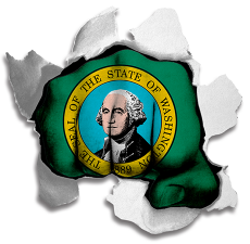 Fist Washington State Flag Logo custom vinyl decal
