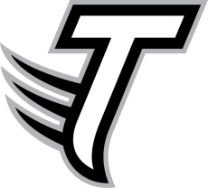 Towson Tigers 2004-Pres Alternate Logo 06 heat sticker