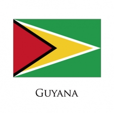 Guyana flag logo custom vinyl decal
