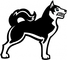 Northeastern Huskies 2001-2006 Alternate Logo 02 custom vinyl decal