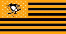Pittsburgh Penguins Flag001 logo heat sticker