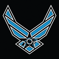 Airforce Carolina Panthers Logo heat sticker